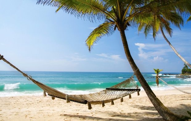 hammock