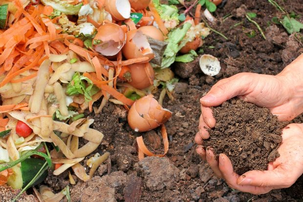mulching