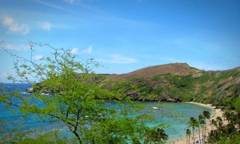 hawaii, travel, tips