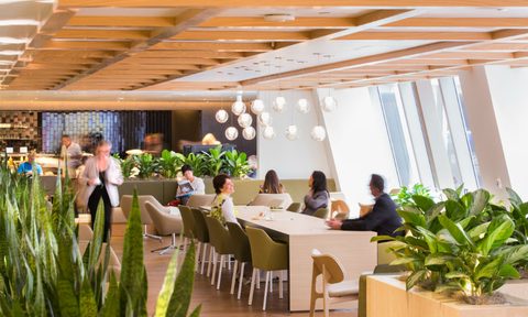 relax and rejuvenate at the qantas lax lounges 85d97bd78495847c0e56576f69e04ee6 1