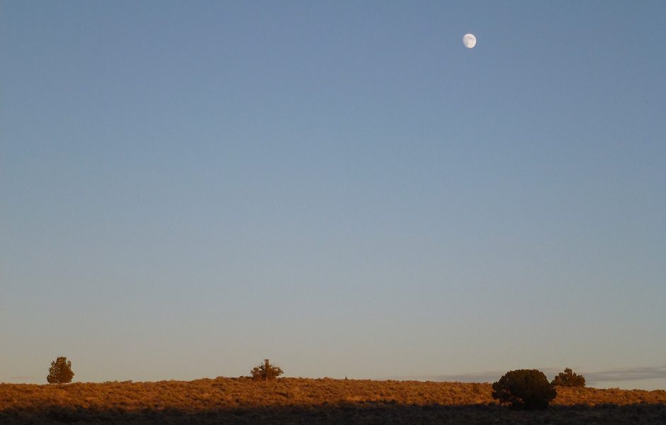 throttle jockey way off the beaten path se oregon moon