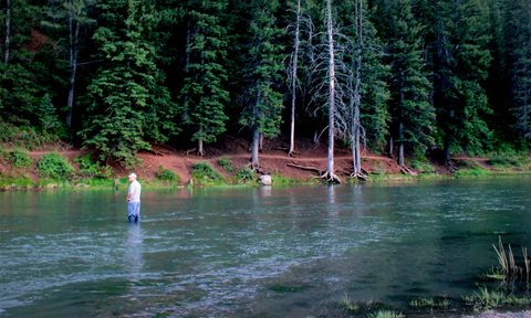 pack it in alpine fly fishing