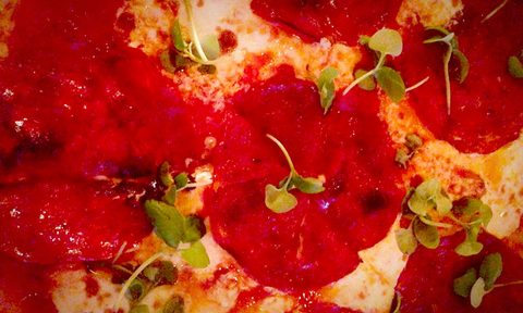 Food photo