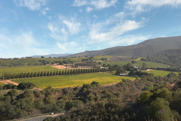 Santa Lucia Highlands