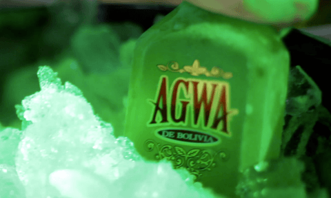 agwa de bolivia coca spirit