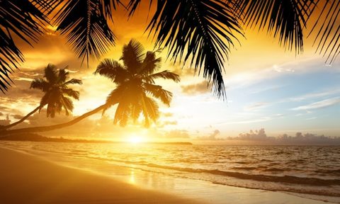 beach