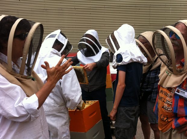 bee people
