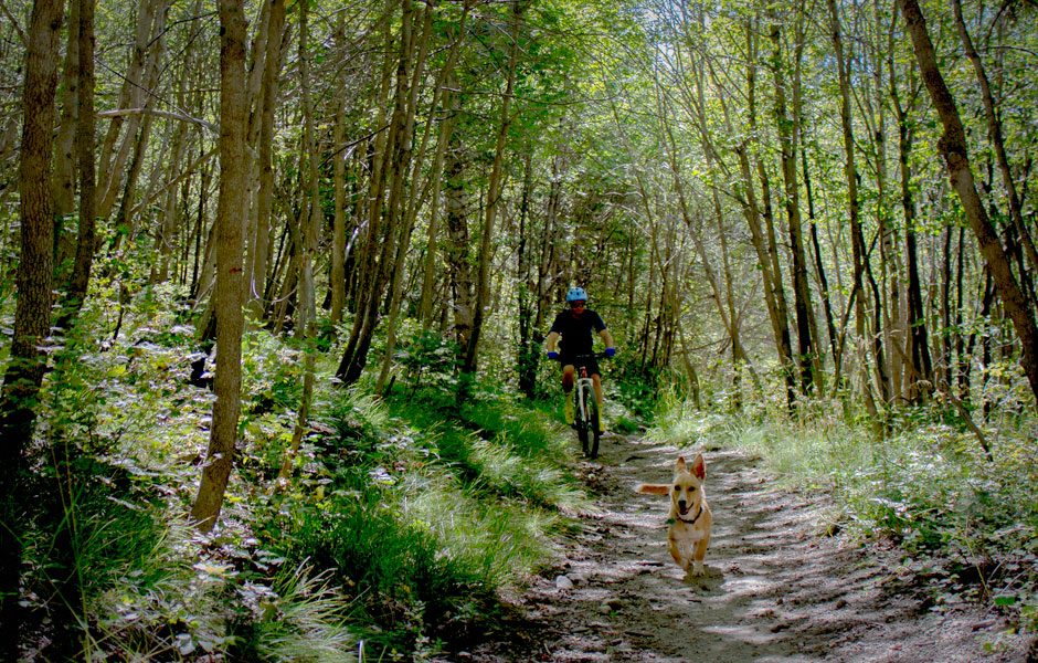 road to adventure mountain biking 2