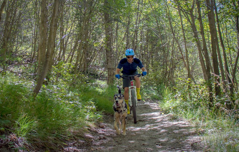 road to adventure mountain biking