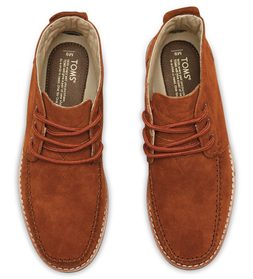 TOMS