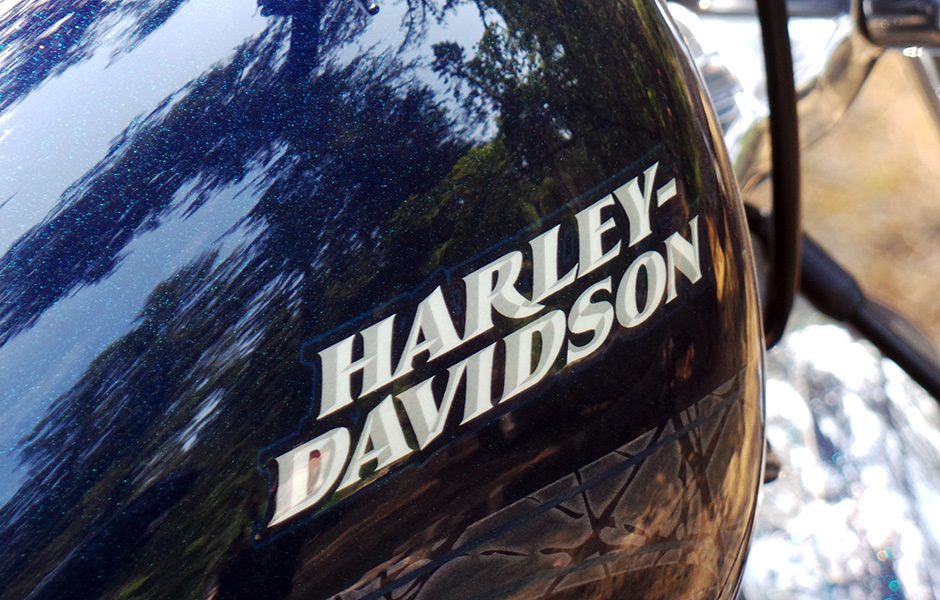 throttle jockey that special bond between man and low rider tank2