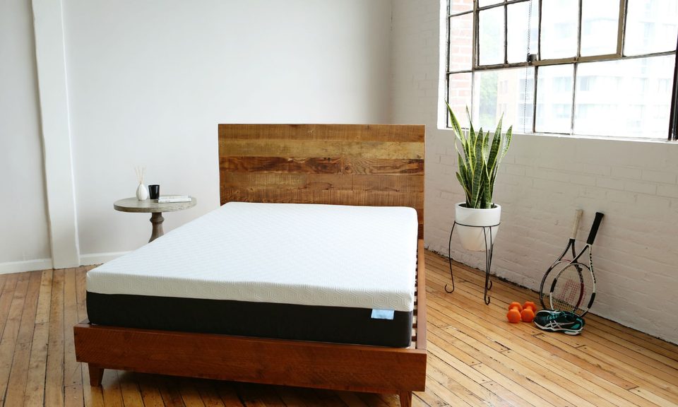 bear mattress