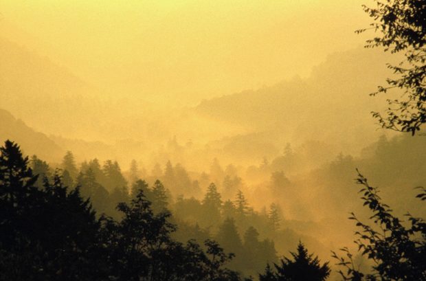 Great Smoky Mountains National Park