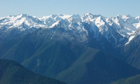 olympic national park