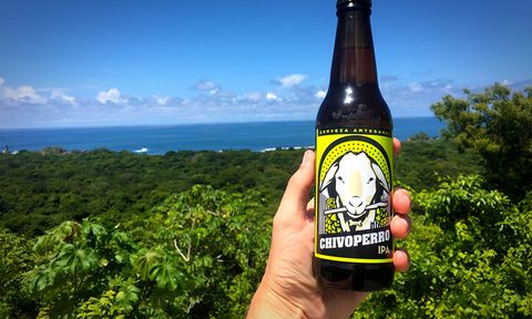 high on hops drinking the goat dog chivoperro