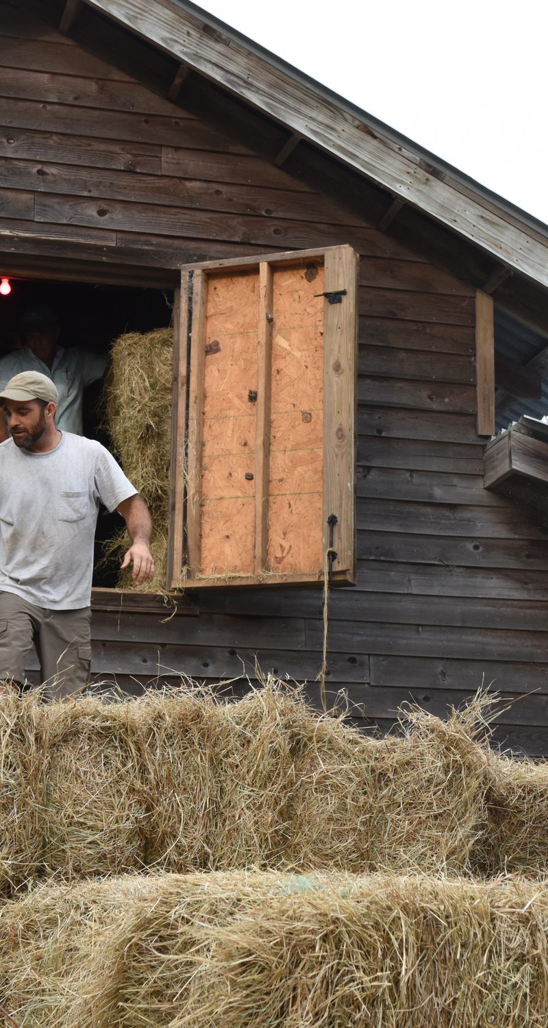 Farmer Jon Darling