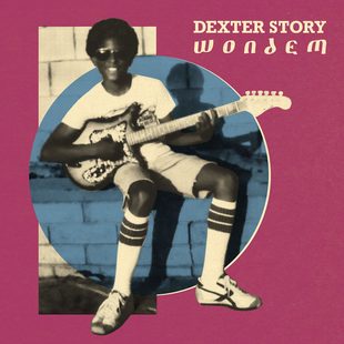 Cover art for&nbsp;Wondem.</em