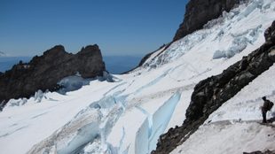 Ranier Glacier Hike