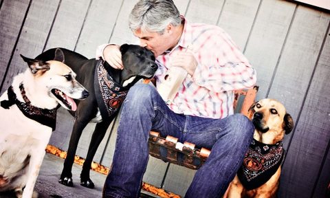 feel good friday vodka for dog people tito and pups