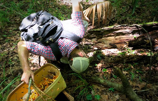 Foraging-2
