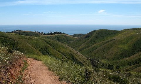 autumn in the angeles perfect la hikes for fall hike