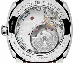 pam655c