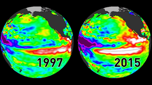El-Nino-JPL-comparison-teaser-55659