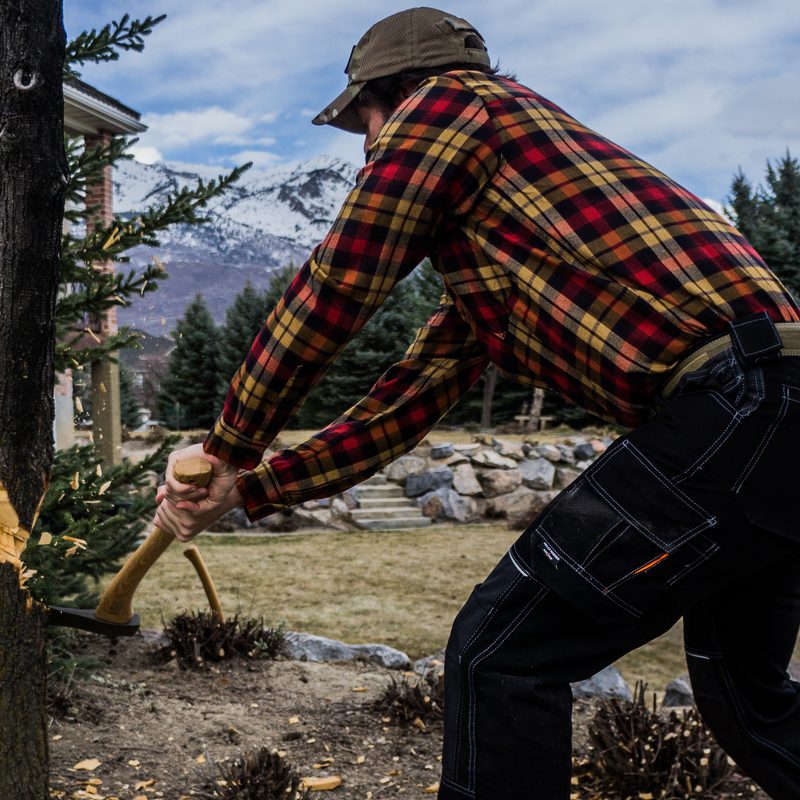 Bringing a tree down while felling the tree