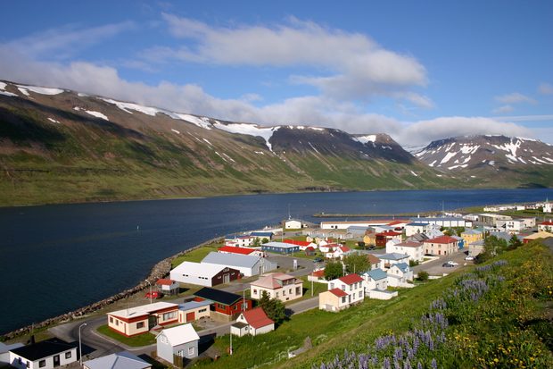 Iceland2008-Sudureyri