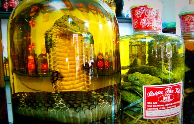 Snake-wine