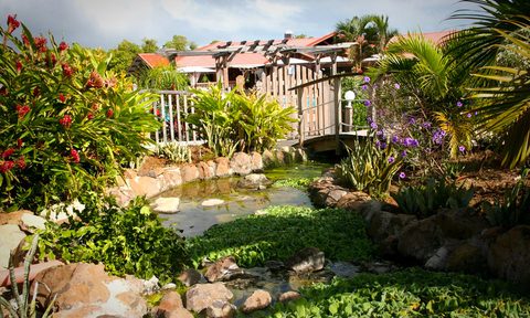 travel guide things to do martinique 1