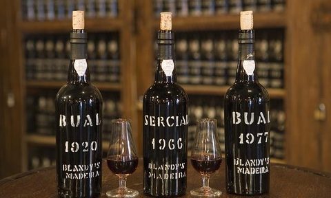 the story behind madeira an interview with brandon plyler 109226540 312598c