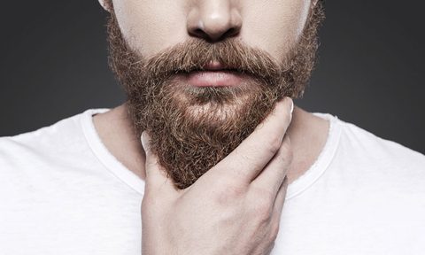 the manuals guide to taking your winter beard into spring