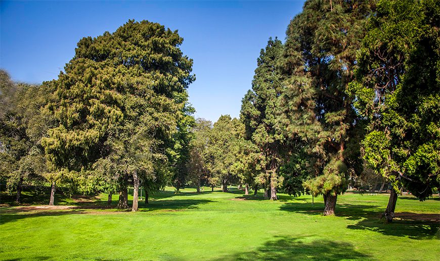 best la public golf courses los feliz par 3