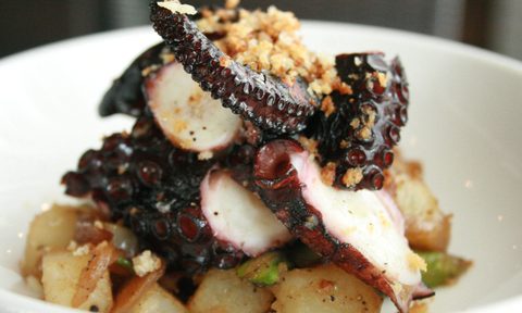 celebrating spring with cotton rye octopus