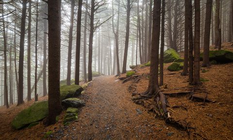 spring onto the trail 5 fine east coast hikes lead