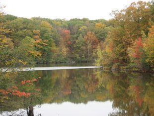 LIME ROCK