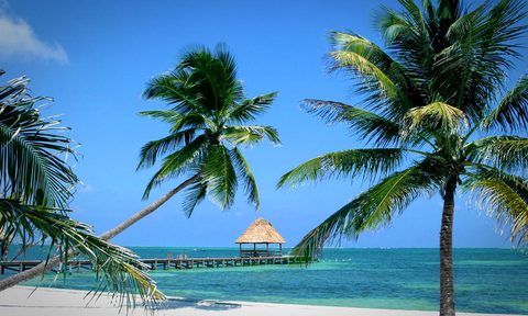 travel guide placencia belize