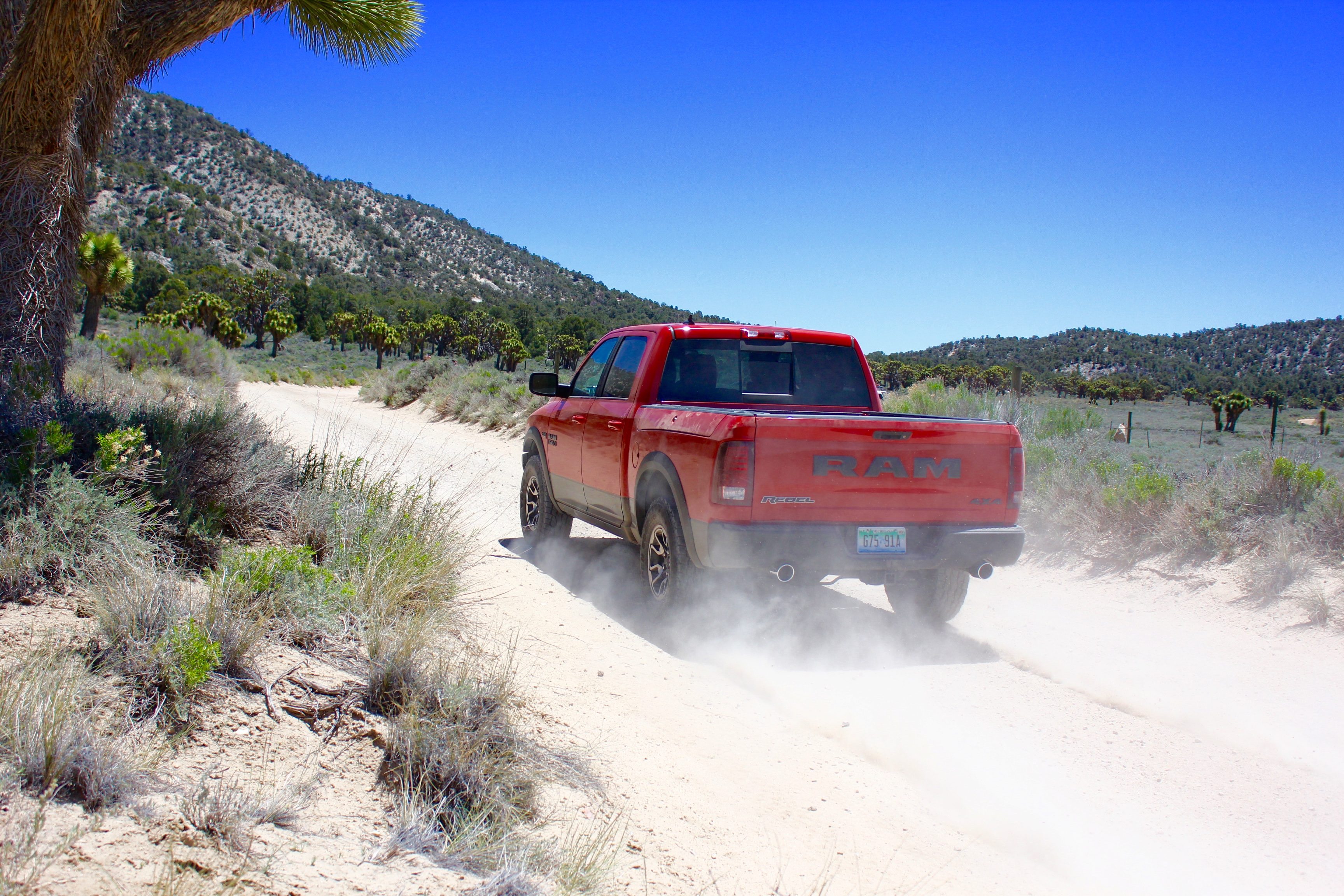 RAM Rebel