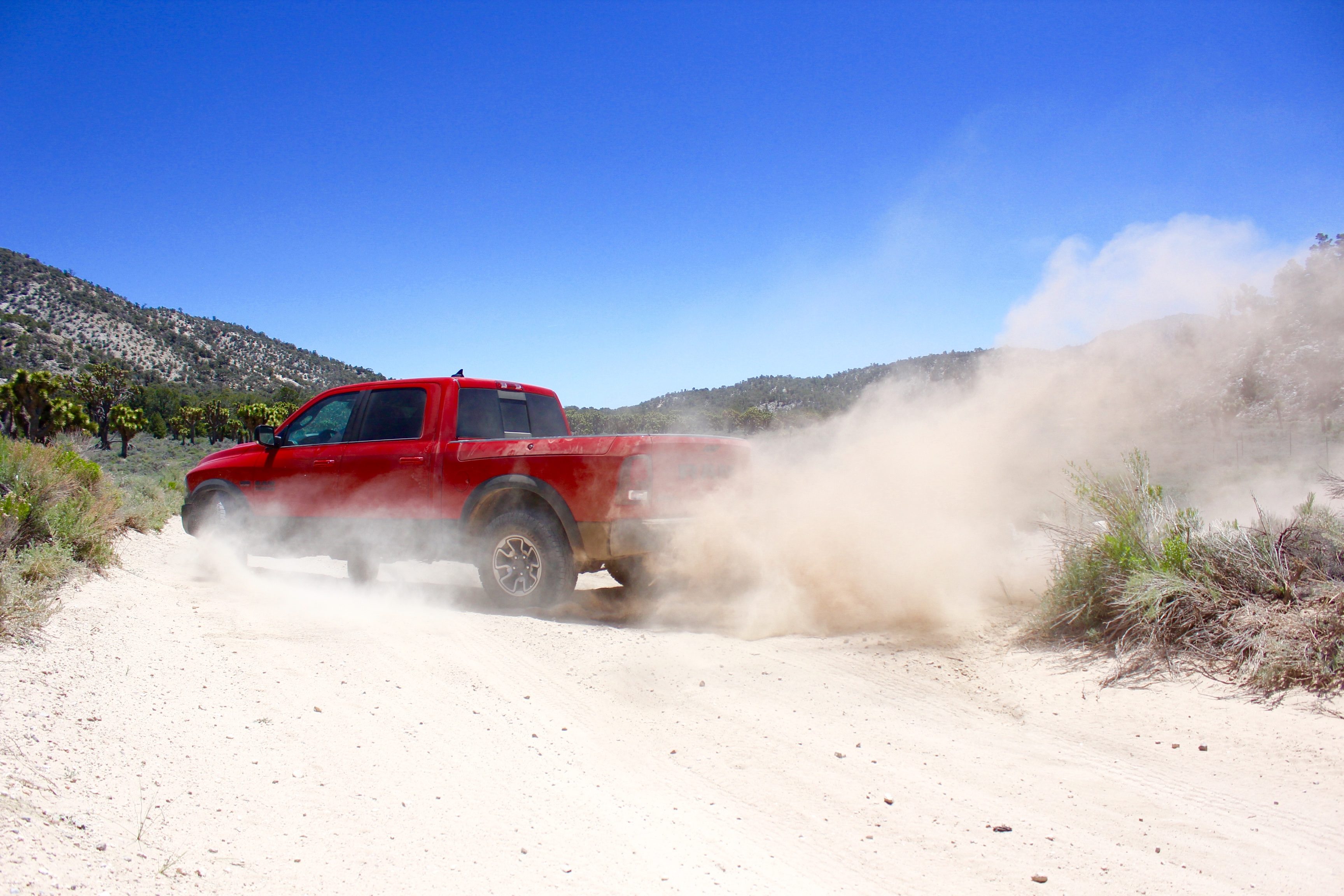 RAM Rebel