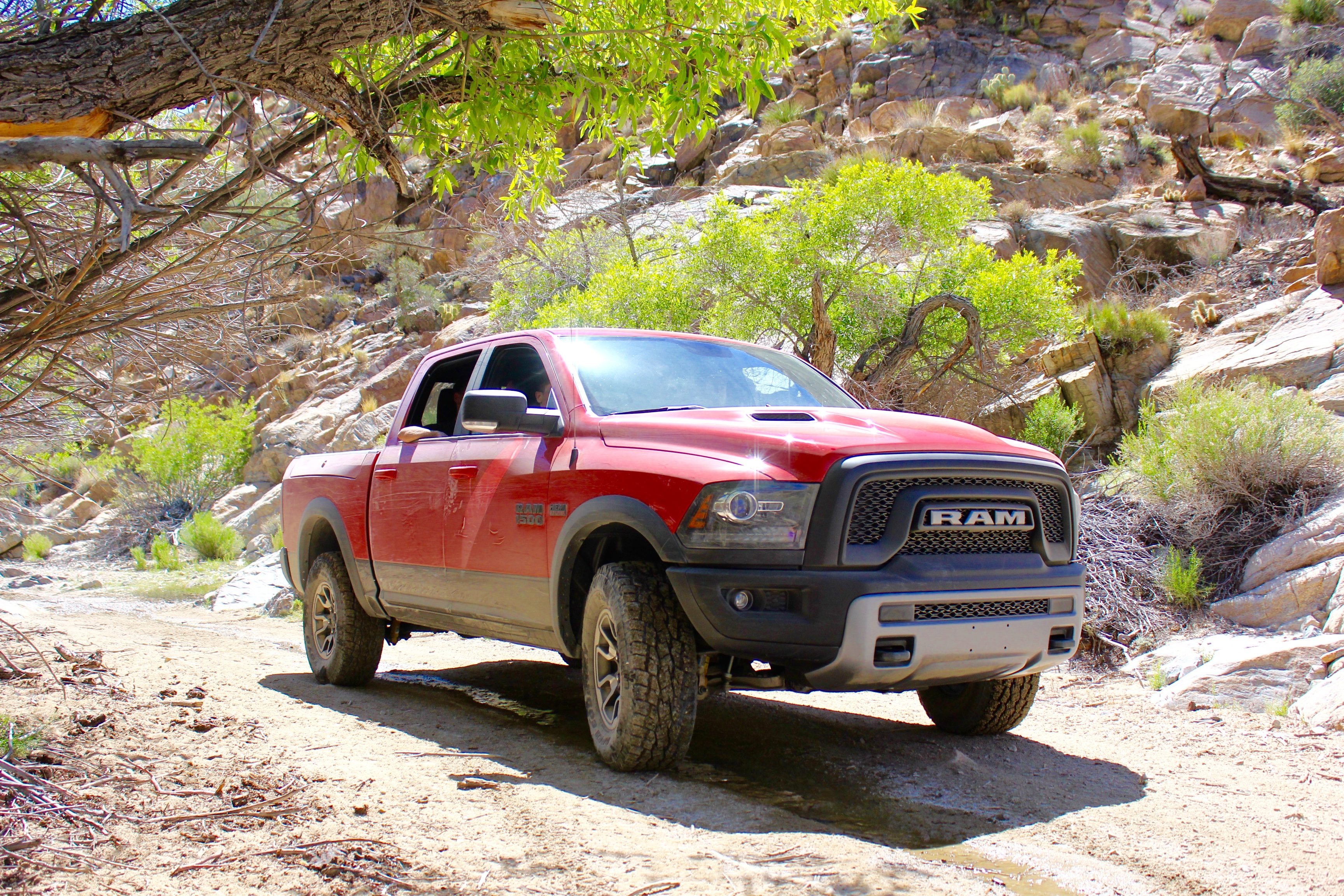 RAM Rebel