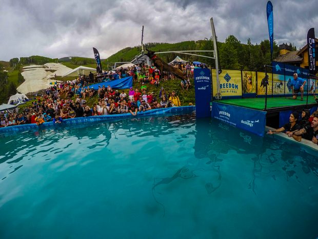 Mountain Games Dock Dogs