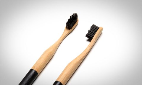 the goodwell company biodegradable toothbrushes