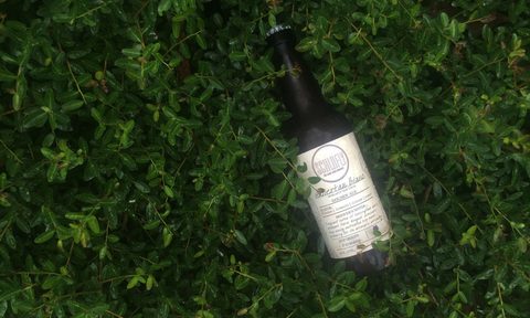 Schlafly Single Hop, hop beers