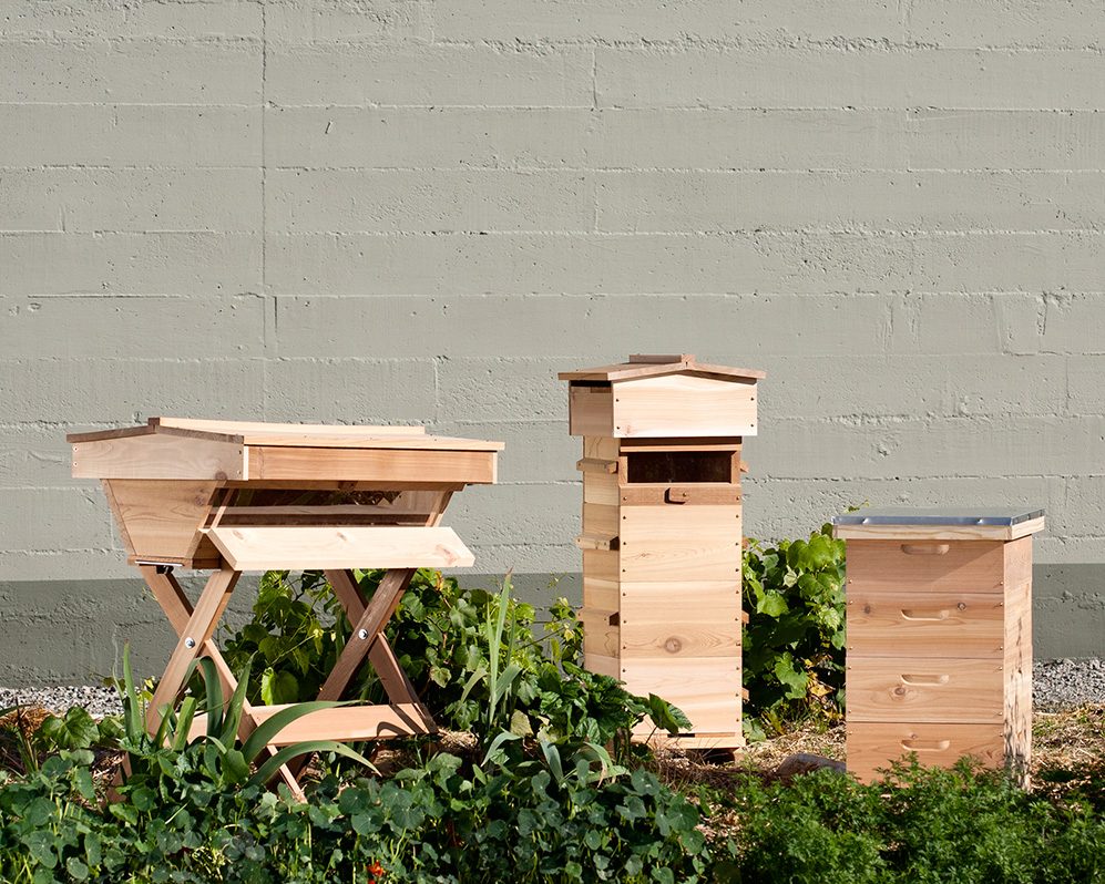 bee hives, warren hives, bee keeping