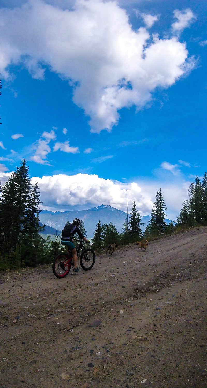 Revelstoke