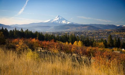 Hood River Oregon, hops fest