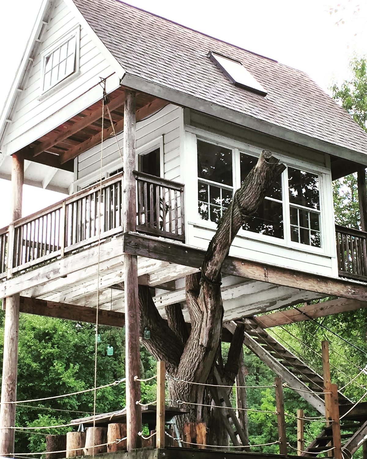 treehouse