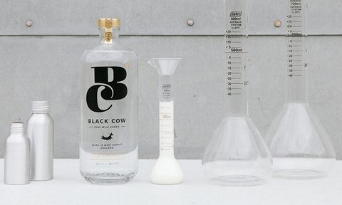 black cow vodka