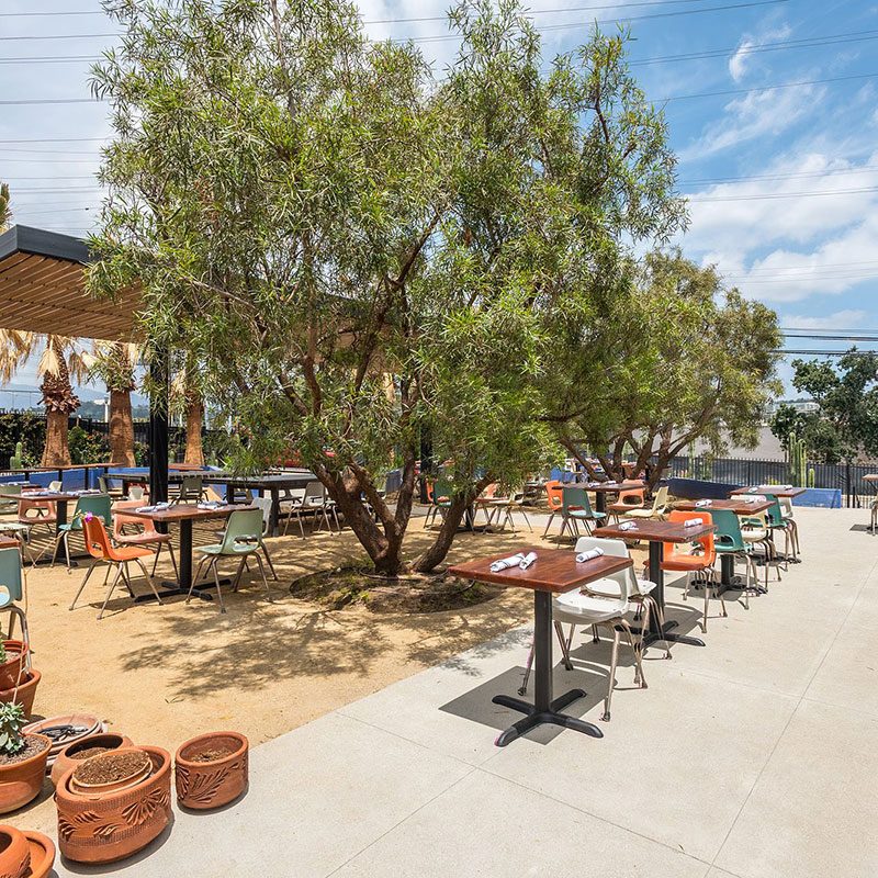 salazar's tacos outdoor patio